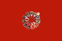 武定回收红酒